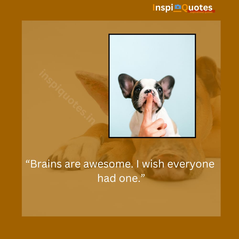 Funny Meme - Animal Quote Funny animal quote meme