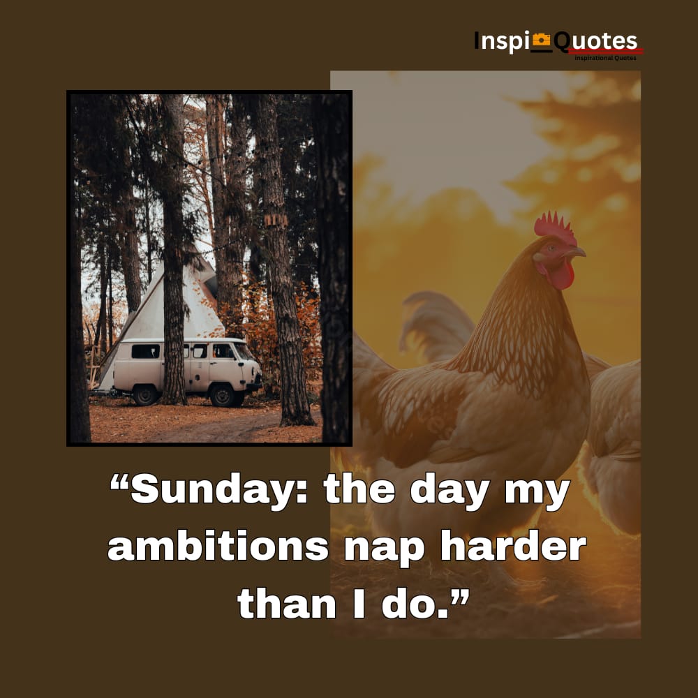 Sunday Quote Sunday Quote